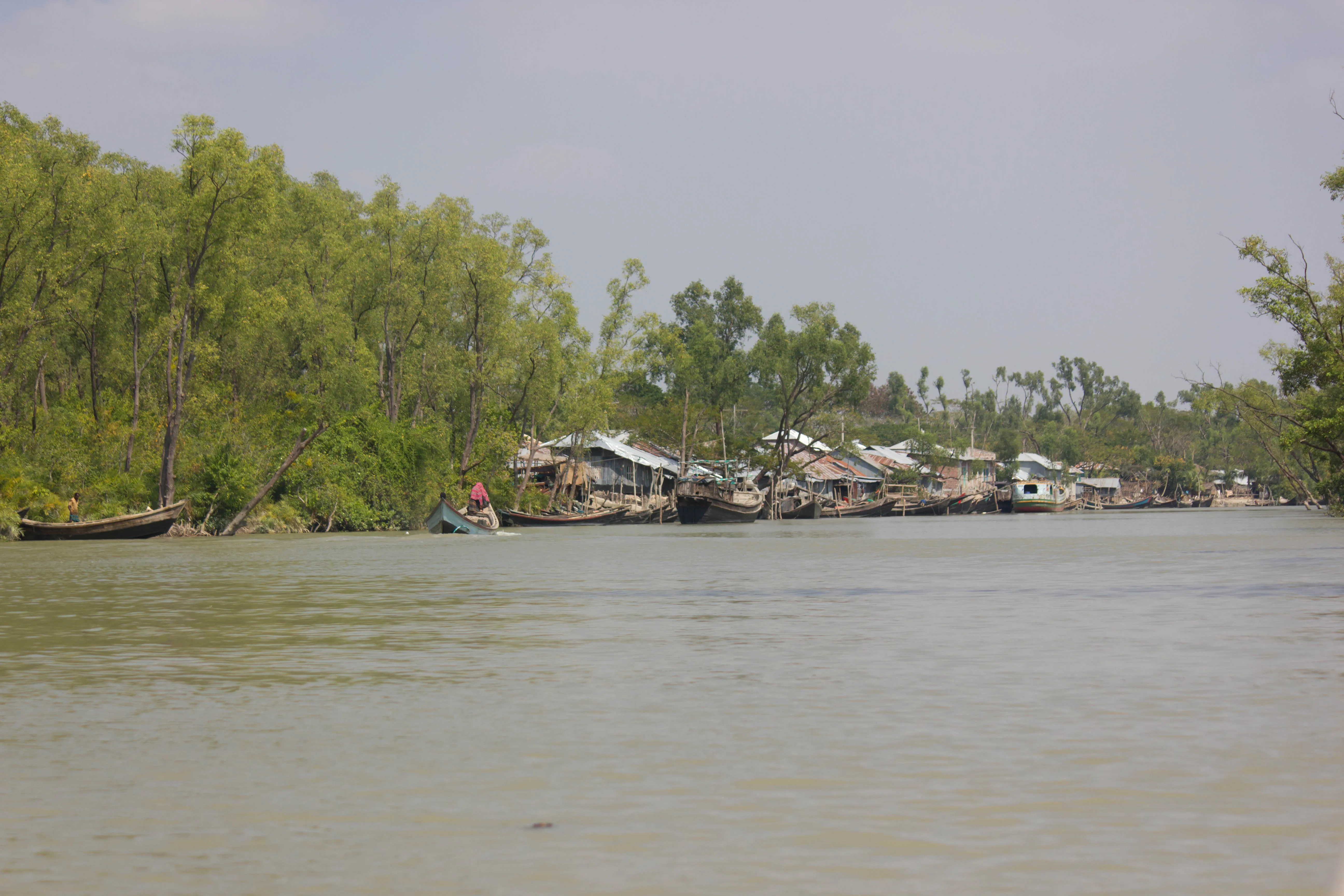 Barguna