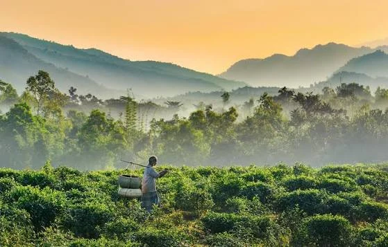 Sylhet