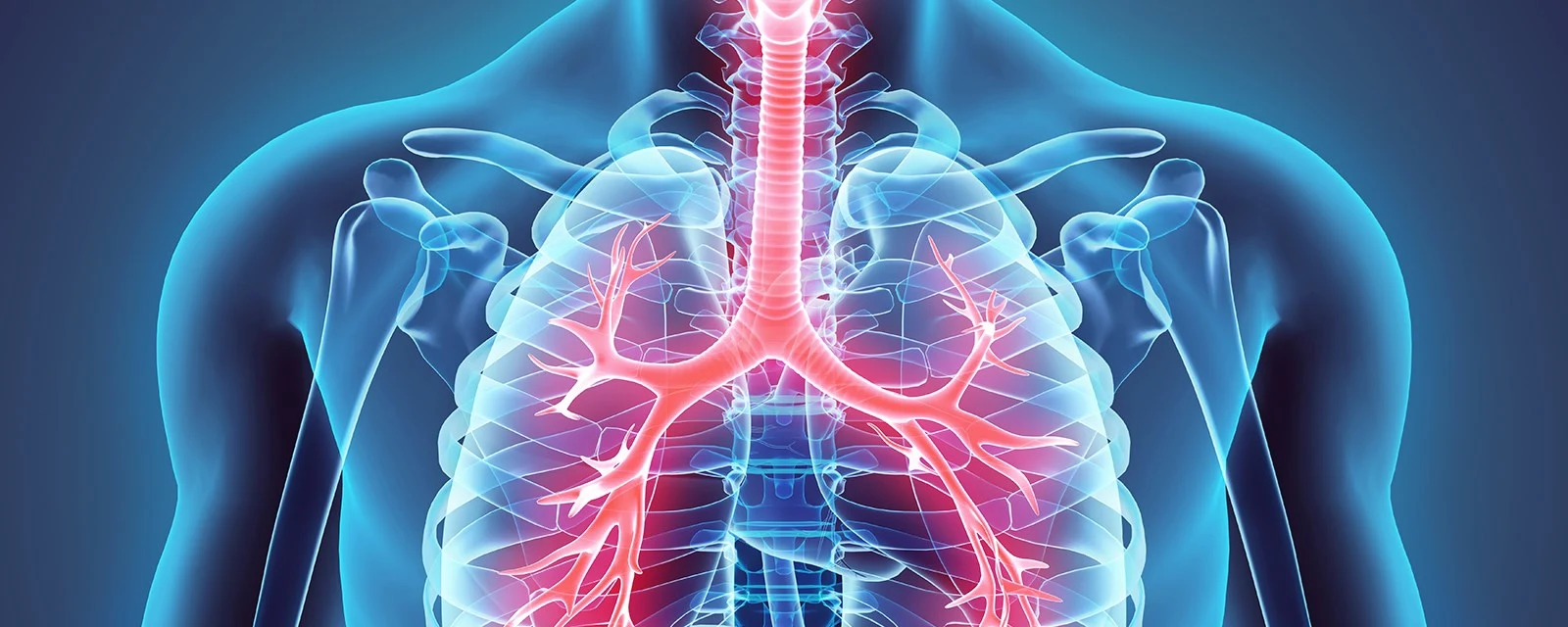Pulmonology & Respiratory Medicine