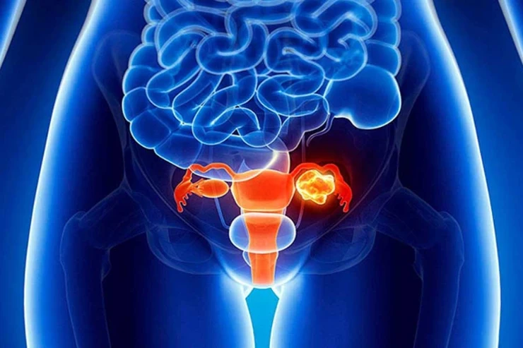 Urology